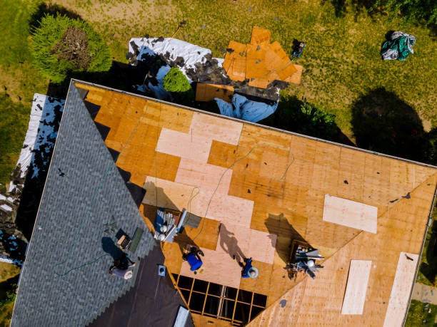 Best Roof Repair Services  in Montgomery, OH